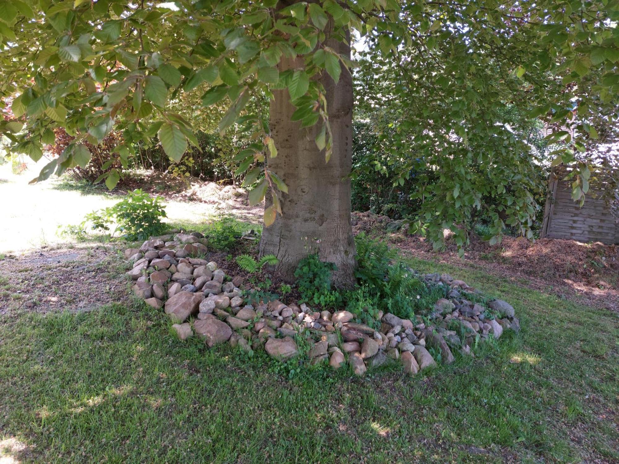 Gasthof Oberschmiede Auf der Wiese Zewnętrze zdjęcie